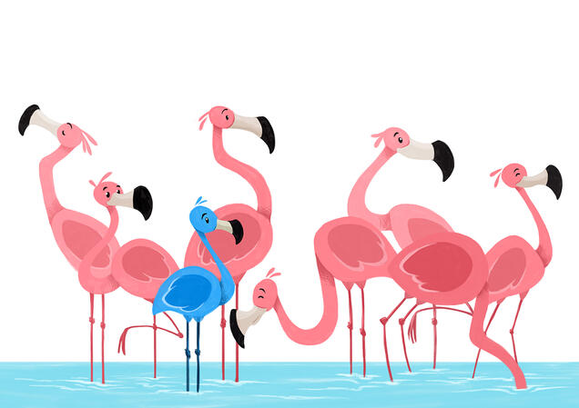 Harry, Der blaue flamingo